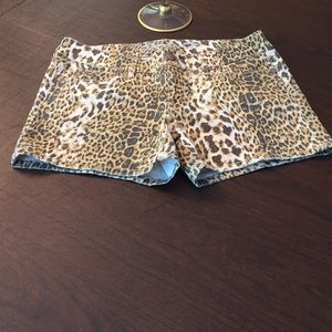 Leopard shorts, brand seven7, top not included